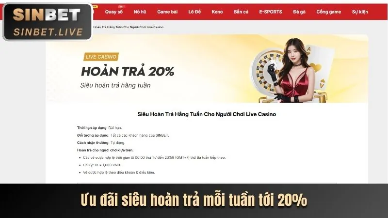 Chương Trình VIP 8kbet